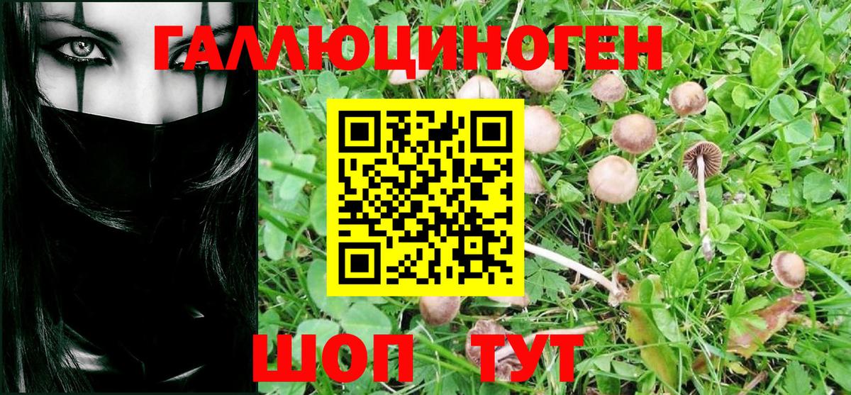 Галлюциногенные грибы Cubensis Копейск