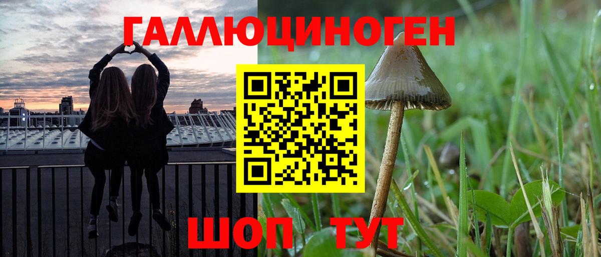 Копейск  Псилоцибиновые грибы мицелий  Вход с VPN  Псилоцибиновые грибы MAGIC MUSHROOMS 